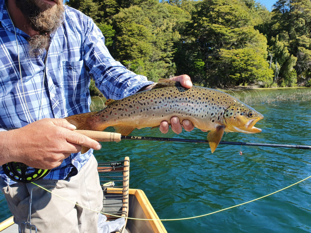 LTS Flyfishing