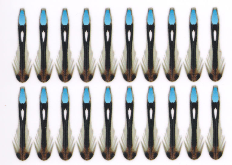 Fluebinding