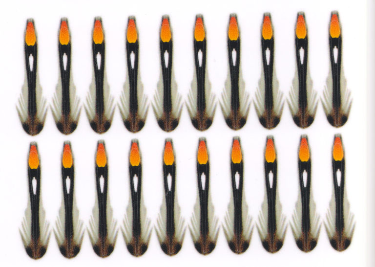 Fluebinding