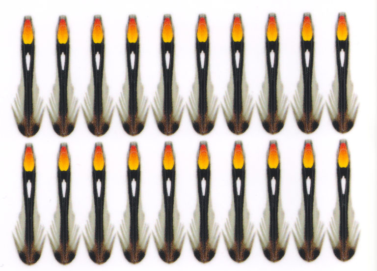 Fluebinding