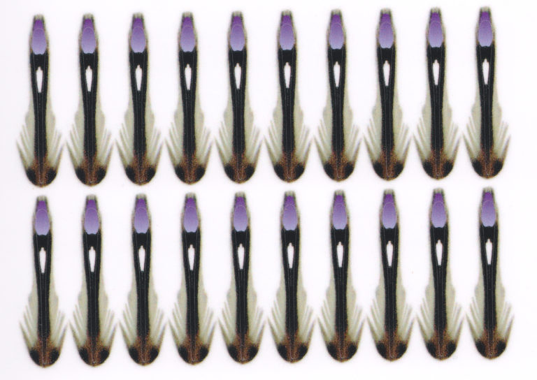 Fluebinding
