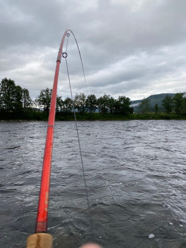 LTS Flyfishing