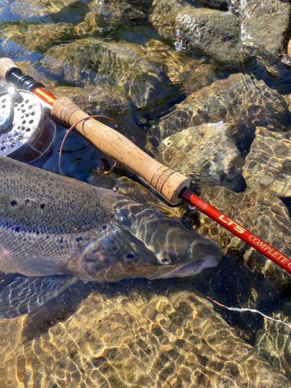 LTS Flyfishing