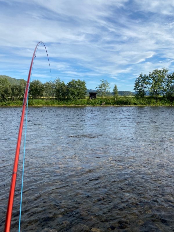 LTS Flyfishing