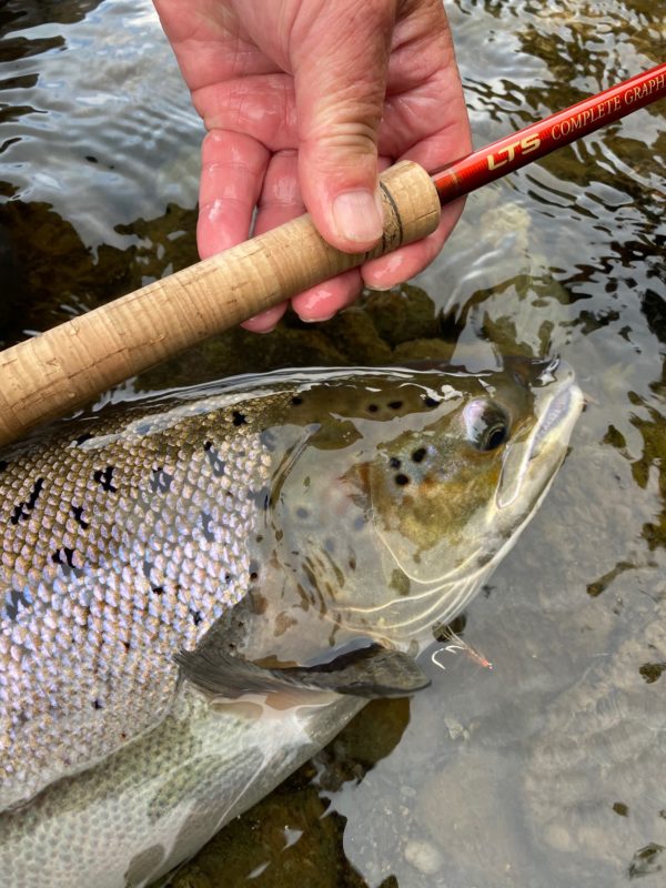 LTS Flyfishing