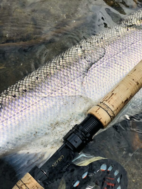 LTS Flyfishing