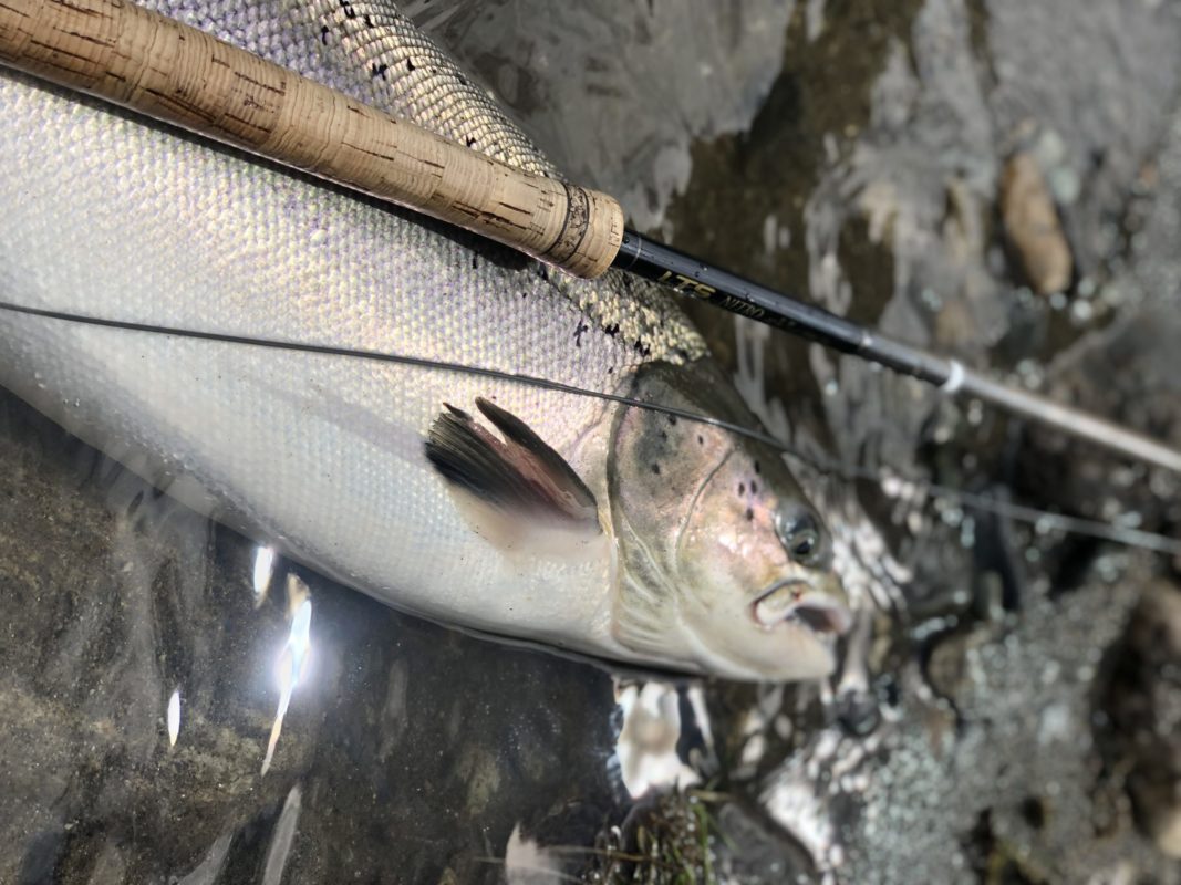 LTS Flyfishing