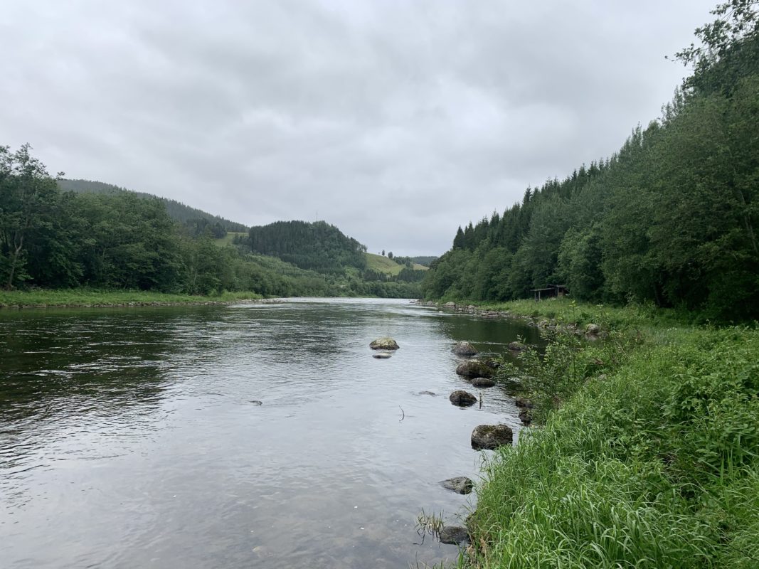 LTS Flyfishing