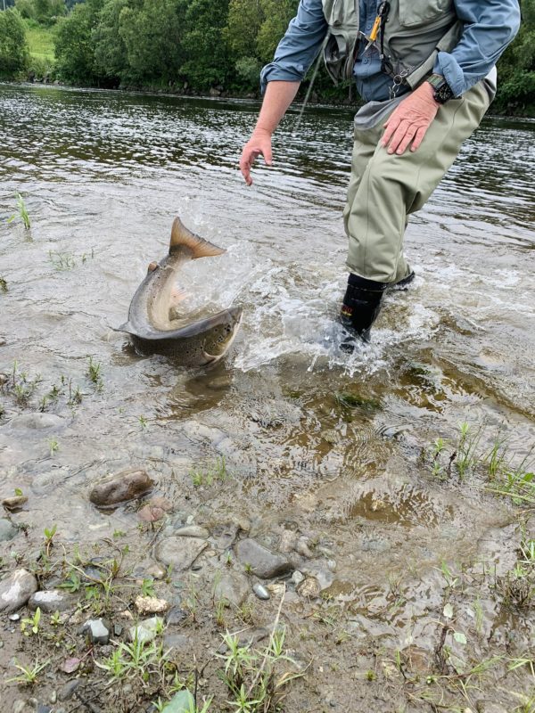 LTS Flyfishing
